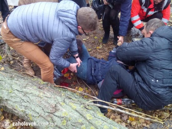В Ужгороді поблизу школи дерево, що зрізали комунальники, впало на школярку (ФОТО)
