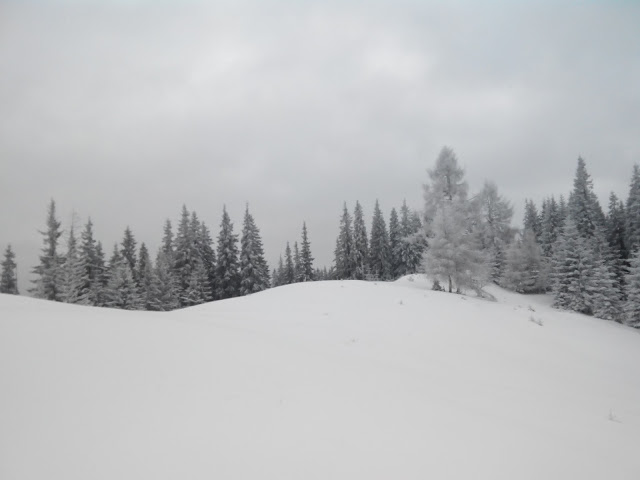 На Закарпатті поблизу кордону знайшли чеха, котрий майже добу блукав горами, загубившись через сніг під час походу (ФОТО)