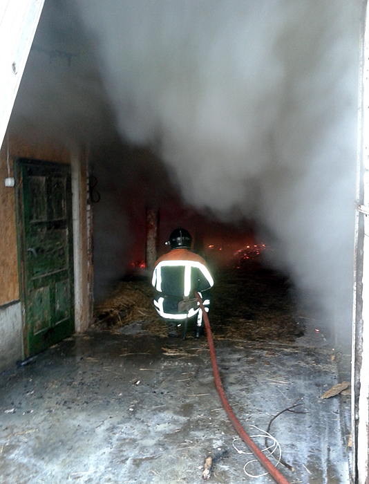 Пожежа у корівнику на Берегівщині коштувала власнику 30 тис грн