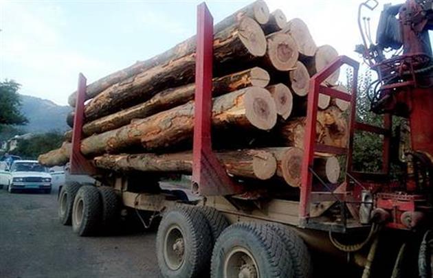 На Тячівщині затримали вантажівку із 40 кубометрами деревини ялини