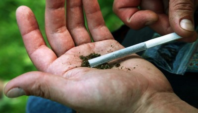 У трьох районах Закарпаття затримали 4 любителів "конопляного кайфу" і вилучили  марихуану та амфетамін