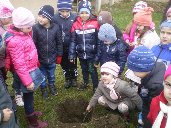 На Тячівщині стартувала акція "Посади дерево" (ФОТО)
