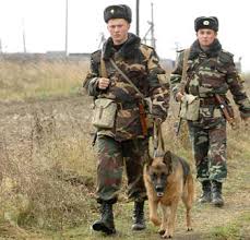 На Закарпатті службовий собака Тіто допоміг затримати чеченця, що нелегально долав кордон зі Словаччиною
