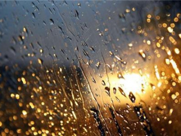 Уночі на 8 березня на Закарпатті очікуються сильні дощі