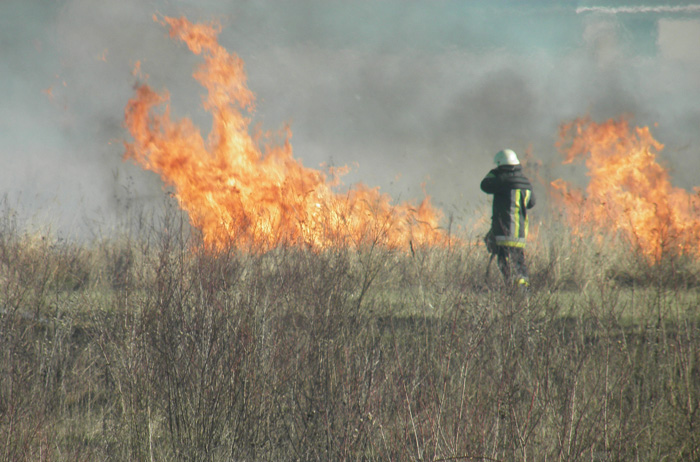 На Рахівщині приборкували пожежу сухостою на території Карпатського біосферного заповідника