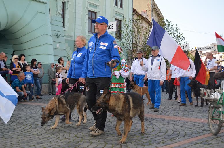 На чемпіонаті світу зі слідової роботи службових собак у Мукачеві перемогла збірна Франції (ФОТО)
