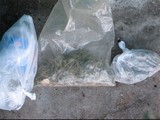 У Хусті затримали підозрюваного у торгівлі наркотиками