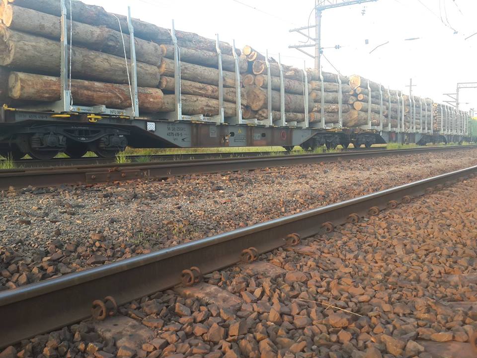 На Закарпатті активісти затримали 24 вагони "львівського" лісу, що відправляли закордон як дрова (ВІДЕО) (ОНОВЛЕНО)