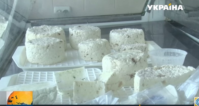 Щодня у монастирській сироварні на Мукачівщині виготовляють 15 кг закарпатського та італійського сиру (ВІДЕО)