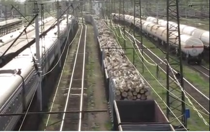 За фактом перевезення 22 вагонів з лісом, затриманих у закарпатському Чопі, розпочато кримінальне провадження