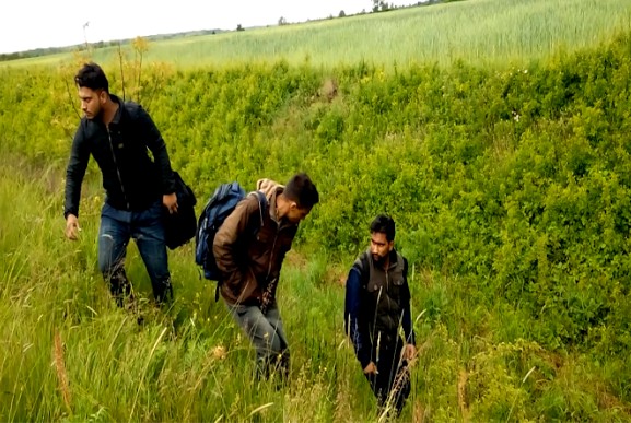 На Берегівщині троє нелегалів з Індії намагалися перетнути кордон