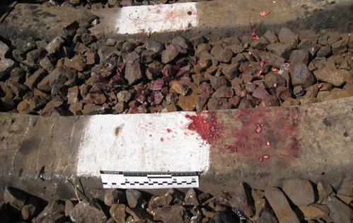 На Воловеччині 23-річний киянин покінчив з життям, кинувшись під потяг