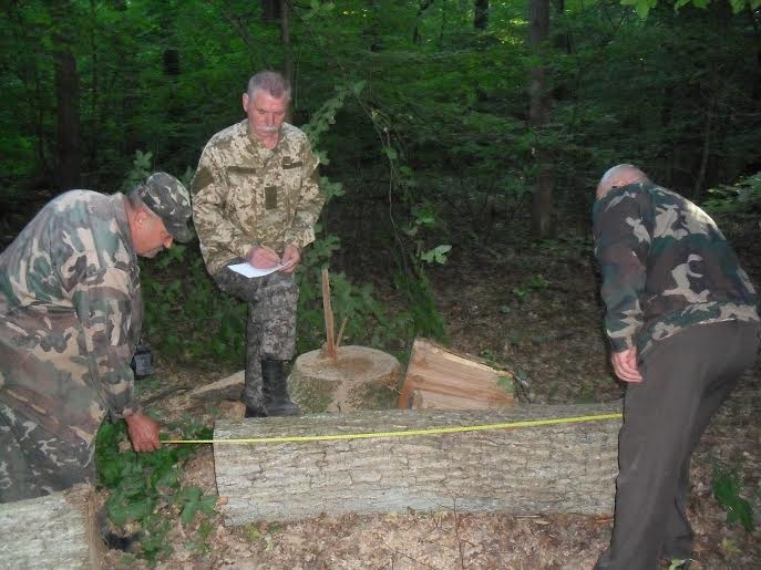 Вночі на Ужгородщині затримали "чорних лісорубів" (ФОТО)