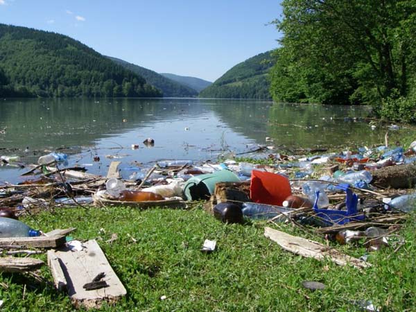 За сміття, що його закарпатці скидають в річки, Україна сплачує великі штрафи Угорщині (ВІДЕО)