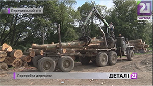 Вилучену під час санітарних чисток лісів деревину переробляють на дрова й дошки на Перечинщині(ВІДЕО) 