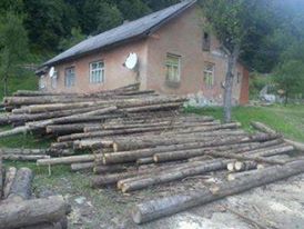 На Хустщині на незаконній лісопилці виявили понад 40 кубометрів смереки (ФОТО)