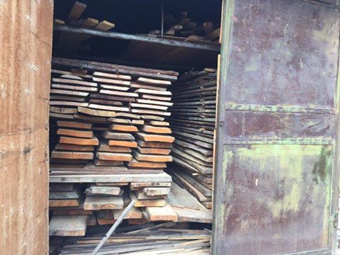 В ході обшуків на пилорамах Ужгородщини виявлено деревину цінних порід без документів