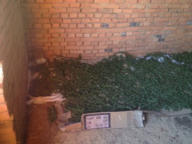 На Мукачівщині в новобудові знайшли 6 кг конопель, що сушилися на горищі (ФОТО)