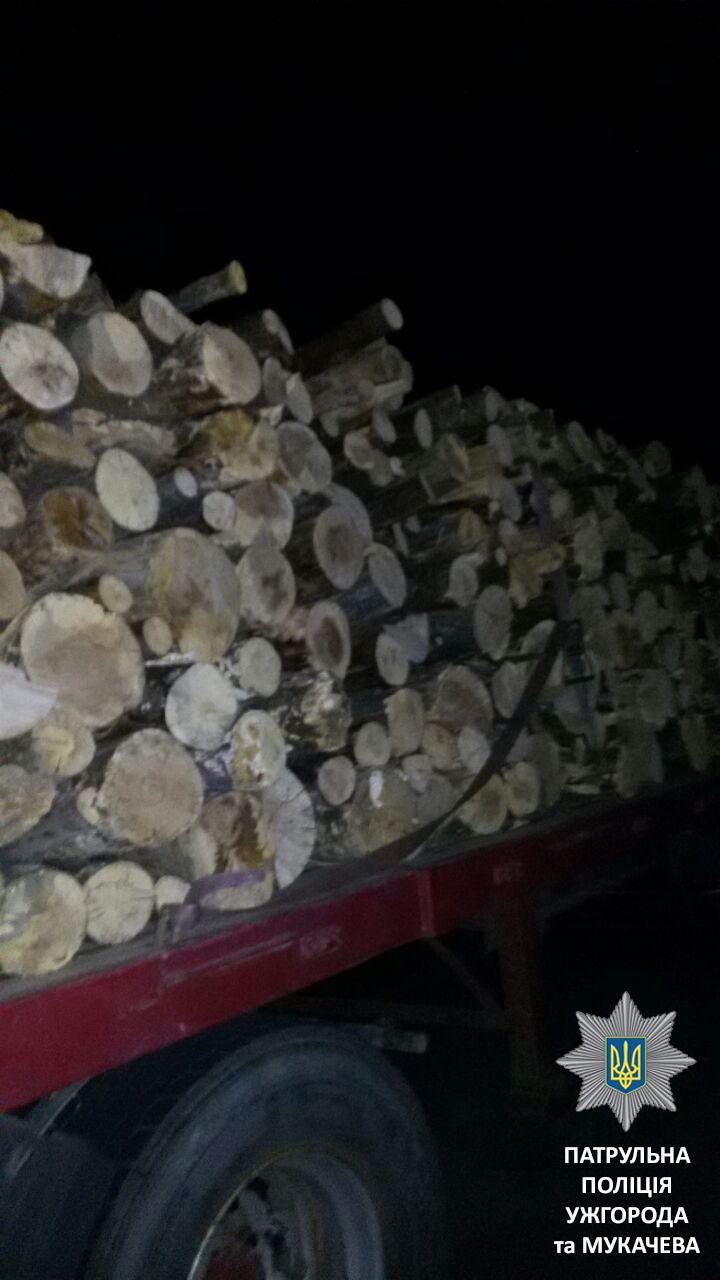 На посту в Нижніх Воротах на Закарпатті зупинили вантажівку з незареєстрованою деревиною (ФОТО)