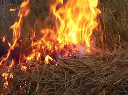 На Міжгірщині в пожежі згоріло понад 2,5 т сіна, а на Тячівщині вогонь понищив надвірну споруду