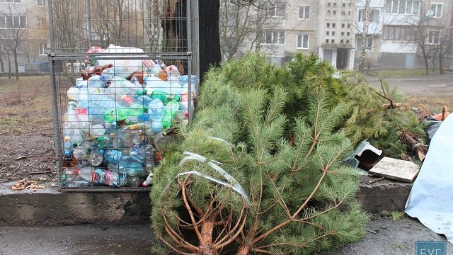 У Берегові новорічні ялинки щоденно по районах прибиратимуть сміттярі
