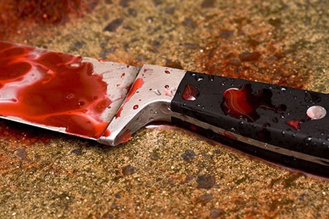 На Свалявщині чоловік у сварці смертельно встромив ножа жінці в груди