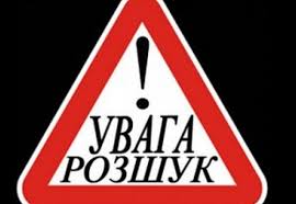 Ужгородська поліція розшукує водія, який збив пішохода і втік з місця ДТП