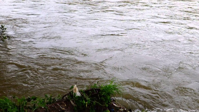 Поблизу Малого Раківця на Іршавщині в потічку потонула літня жінка
