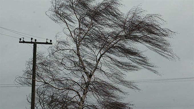 На Перечинщині вітер повалив 5 електричних стовпів
