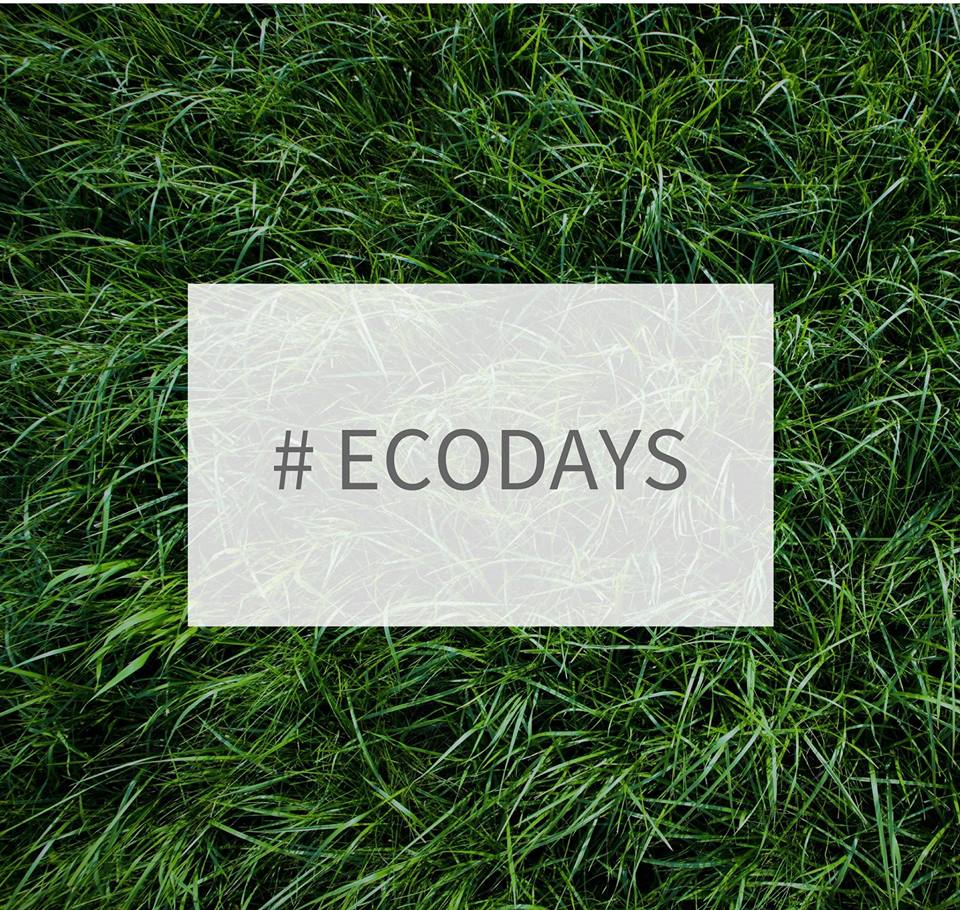 Новинкою цьогорічного "Сакура Фесту" в Ужгороді станне екологічний форум EcoDays