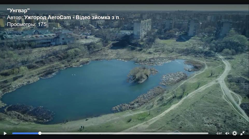 Активісти запускатимуть малька у водойми Ужгорода і просять підтримати акцію фінансово