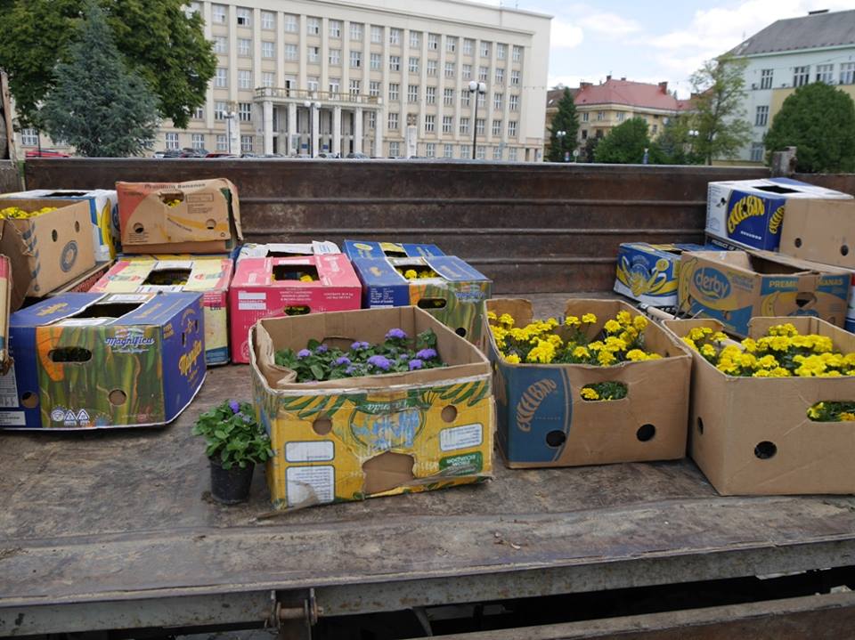 Квітковий прапор України цвістиме на пл. Народній в Ужгороді (ФОТО)