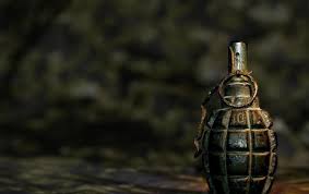 На подвір'ї приватного будинку на Мукачівщині господар знайшов навчальну гранату Ф-1