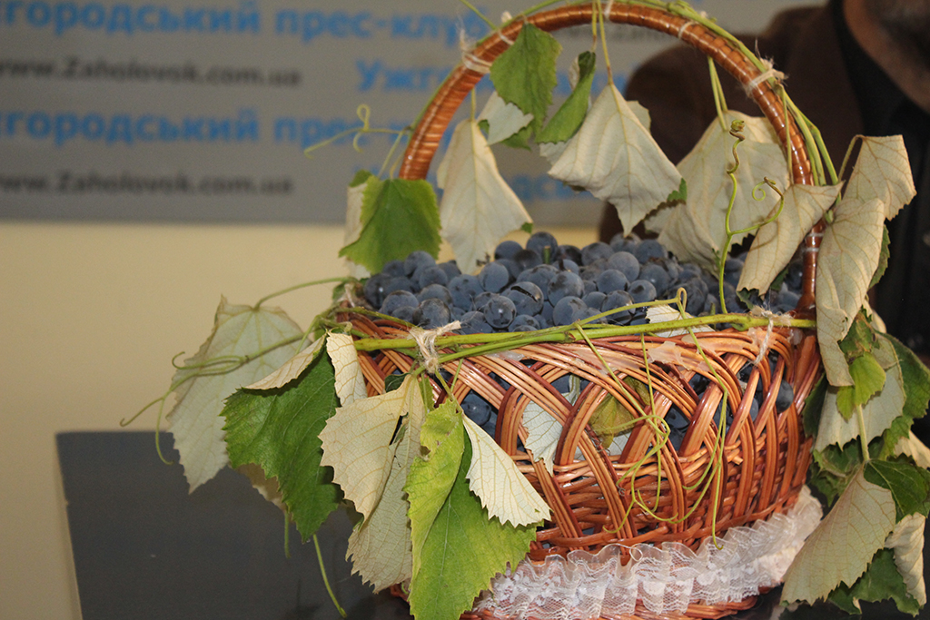 На "Бобовищенському гроні" вперше на Закарпатті діятиме окрема локація винороба з Греції