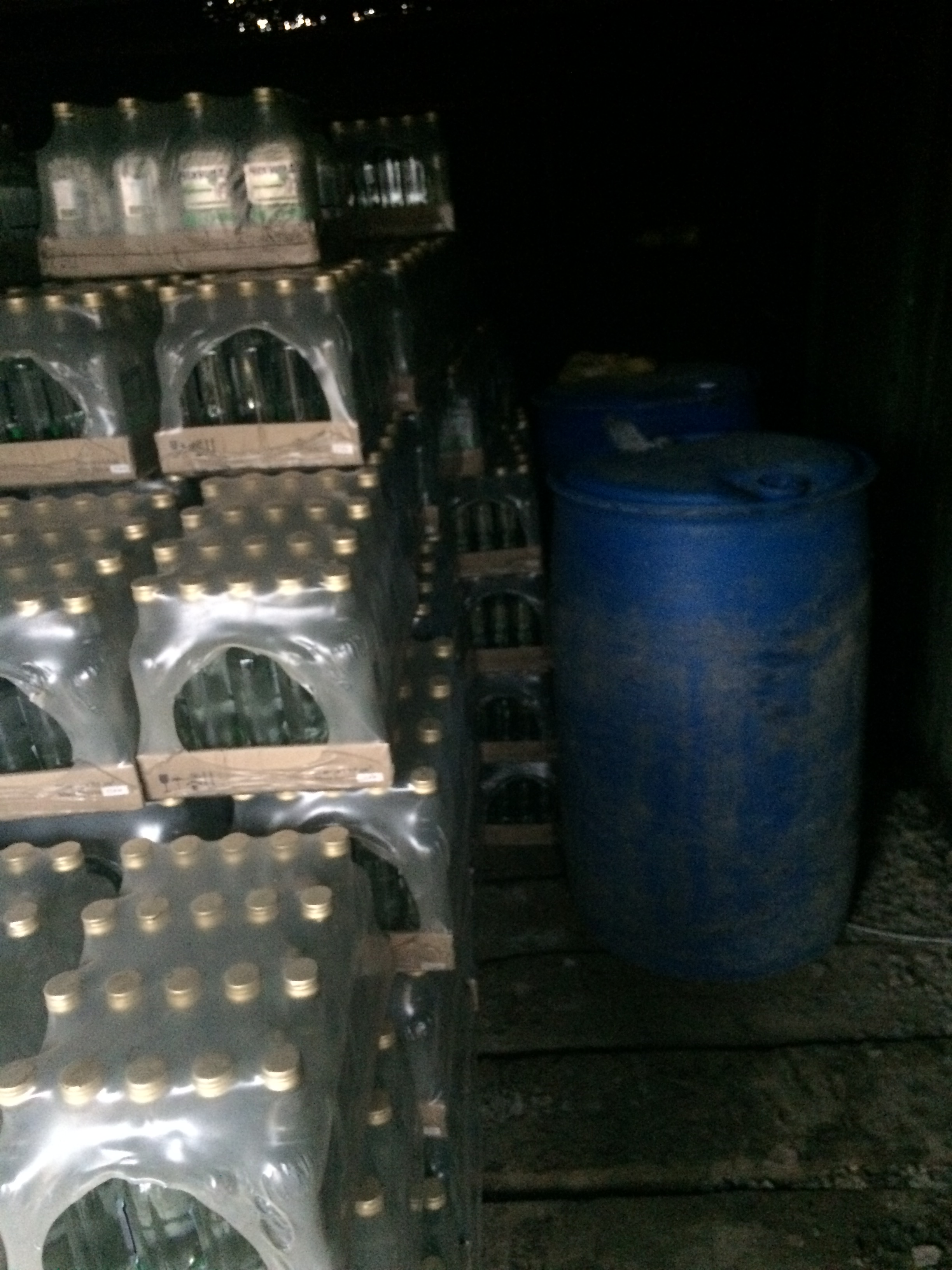 В Ужгороді в гаражі виявили 2800 літрів фальсифікованого алкоголю (ФОТО)