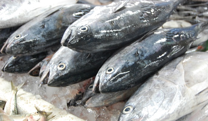 Торік найменше риби в Україні споживали на Закарпатті – 7,1 кг на одну особу