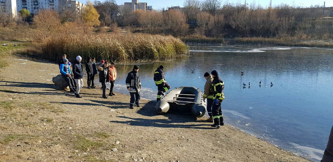 В Ужгороді рятувальники визволяли лебедів на "Кірпічці" з крижаної пастки (ФОТО)