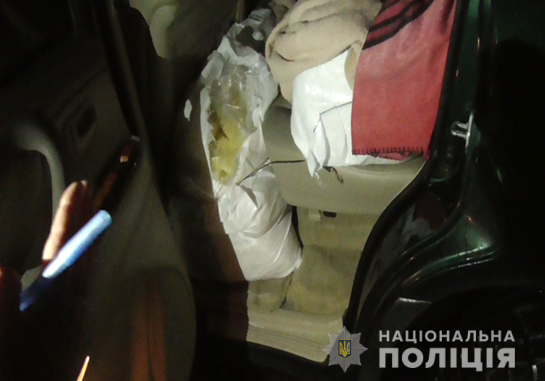 При в’їзді на Закарпаття в автомобілі мешканця Луцька знайшли понад 200 кг бурштину (ФОТО)