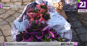 В Ужгороді, попри заборону і штрафи, продають першоцвіти (ВІДЕО)