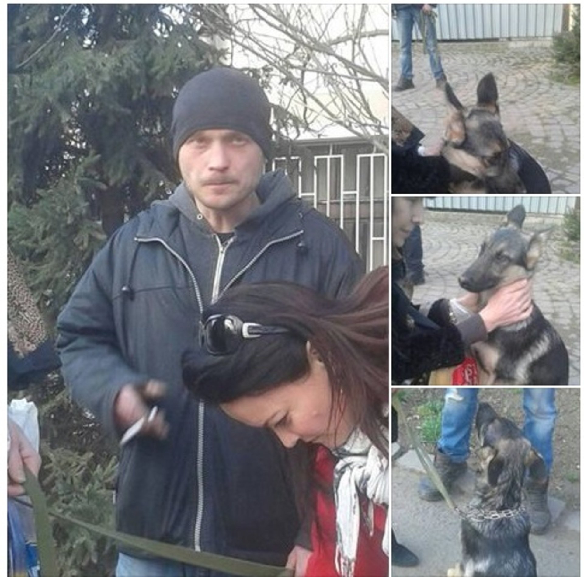 В Ужгороді поліція не затримала зловмисника, який привселюдно жорстоко побив свого собаку