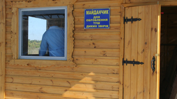 АЧС: у рамках депопуляції на Мукачівщині відстріляли 28 диких кабанів