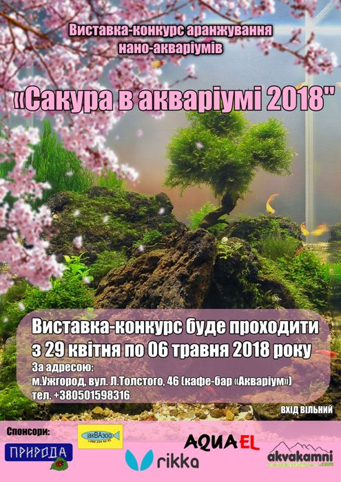 В Ужгороді вдруге відбудеться виставка-конкурс "Сакура в акваріумі 2018"