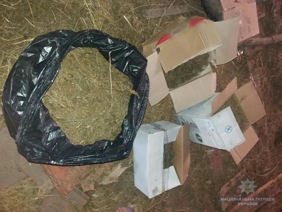 У мешканки Хмільника на Іршавщині вилучили 123 рослини конопель та 4 кг марихуани (ФОТО)