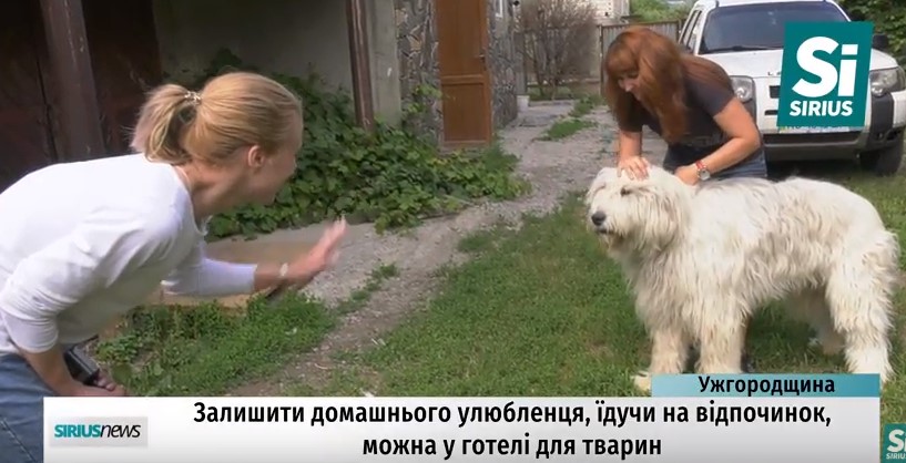 У Невицькому на Ужгородщині працює готель для собак (ВІДЕО)