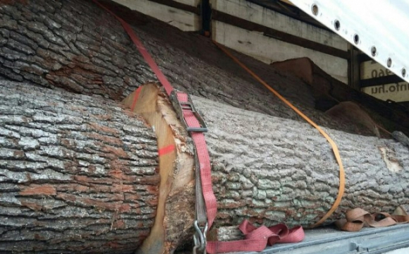 На Міжгірщині затримали вантажівку із сумнівною деревиною