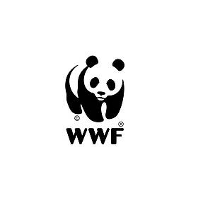 WWF заперечив проведення технічної експертизи та надання рекомендацій щодо будівництва вітроелектростанцій на Закарпатті