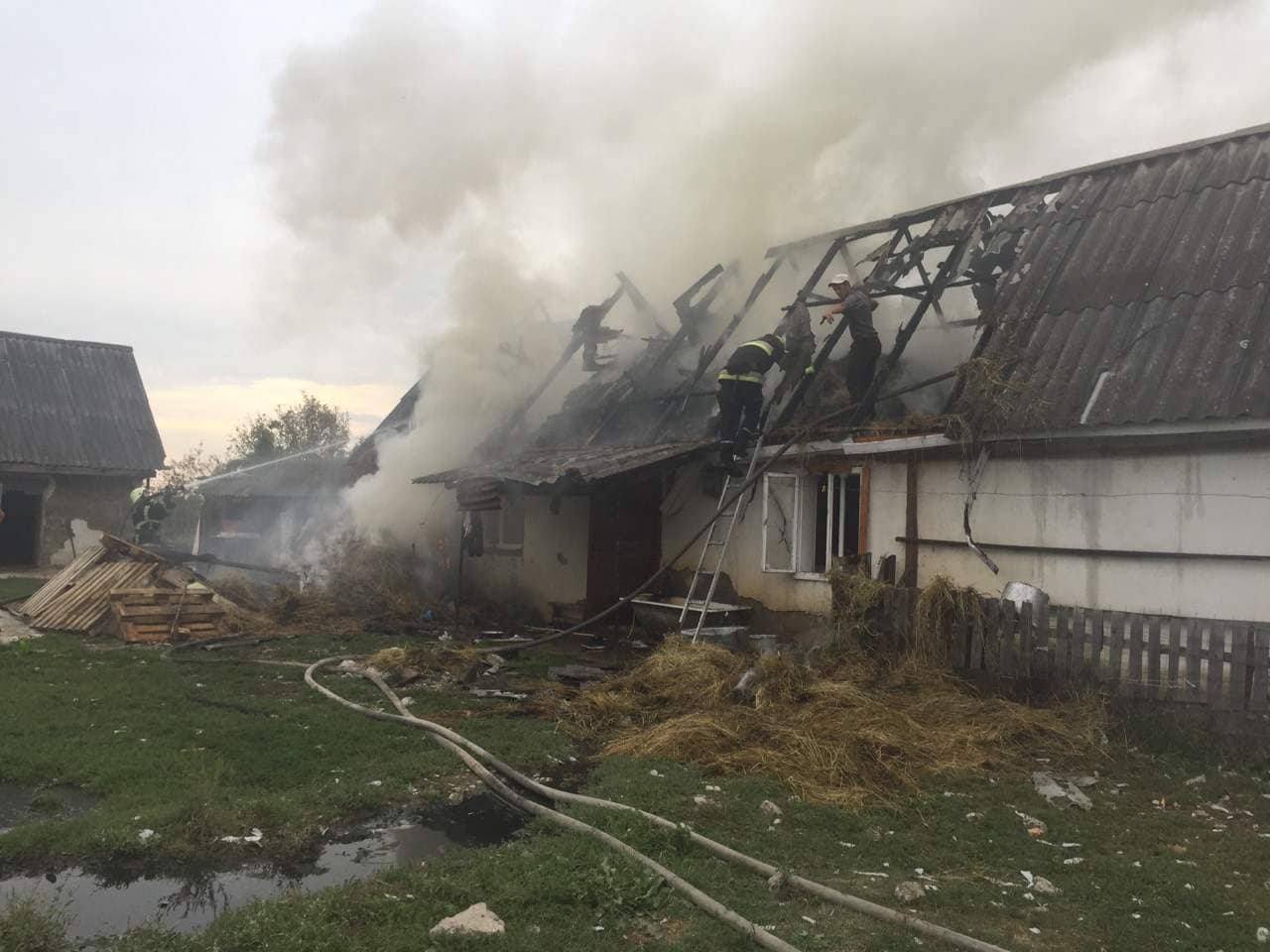 У Тячеві врятували від знищення вогнем житловий будинок (ФОТО)