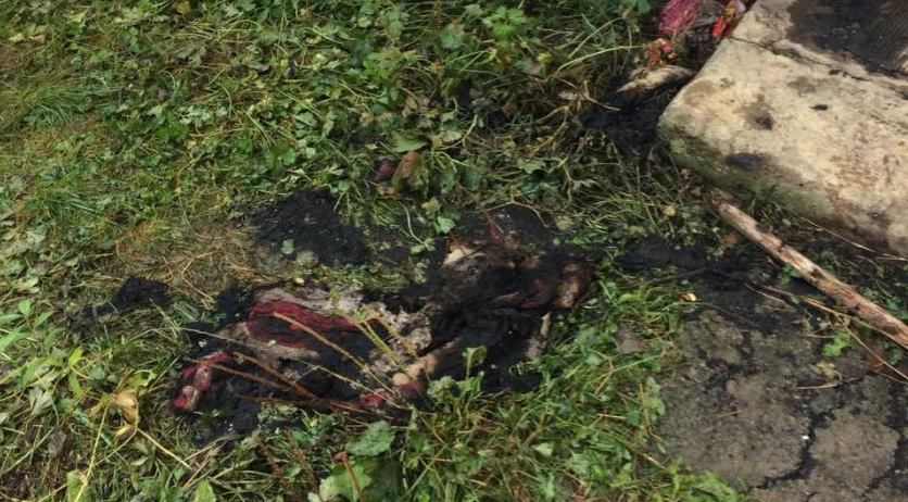 На Іршавщині літня жінка ледь не загинула, надихавшись димом від спалюваного сміття (ФОТО)