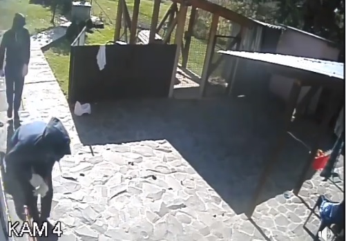 На Хустщині відеокамера на будинку підприємця зафіксувала двох злодіїв (ВІДЕО)