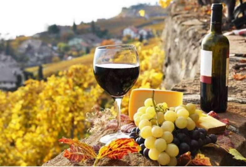 Перший приватний винороб Закарпаття готується отримати офіційну ліцензію